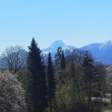 Ferienwohnung In Karnten Villach Eksteriør bilde